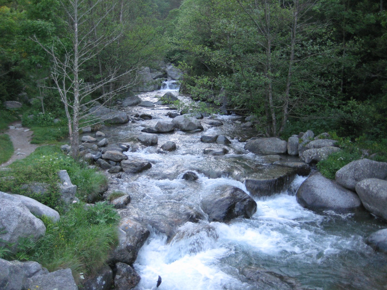 [IMG_0466.JPG]