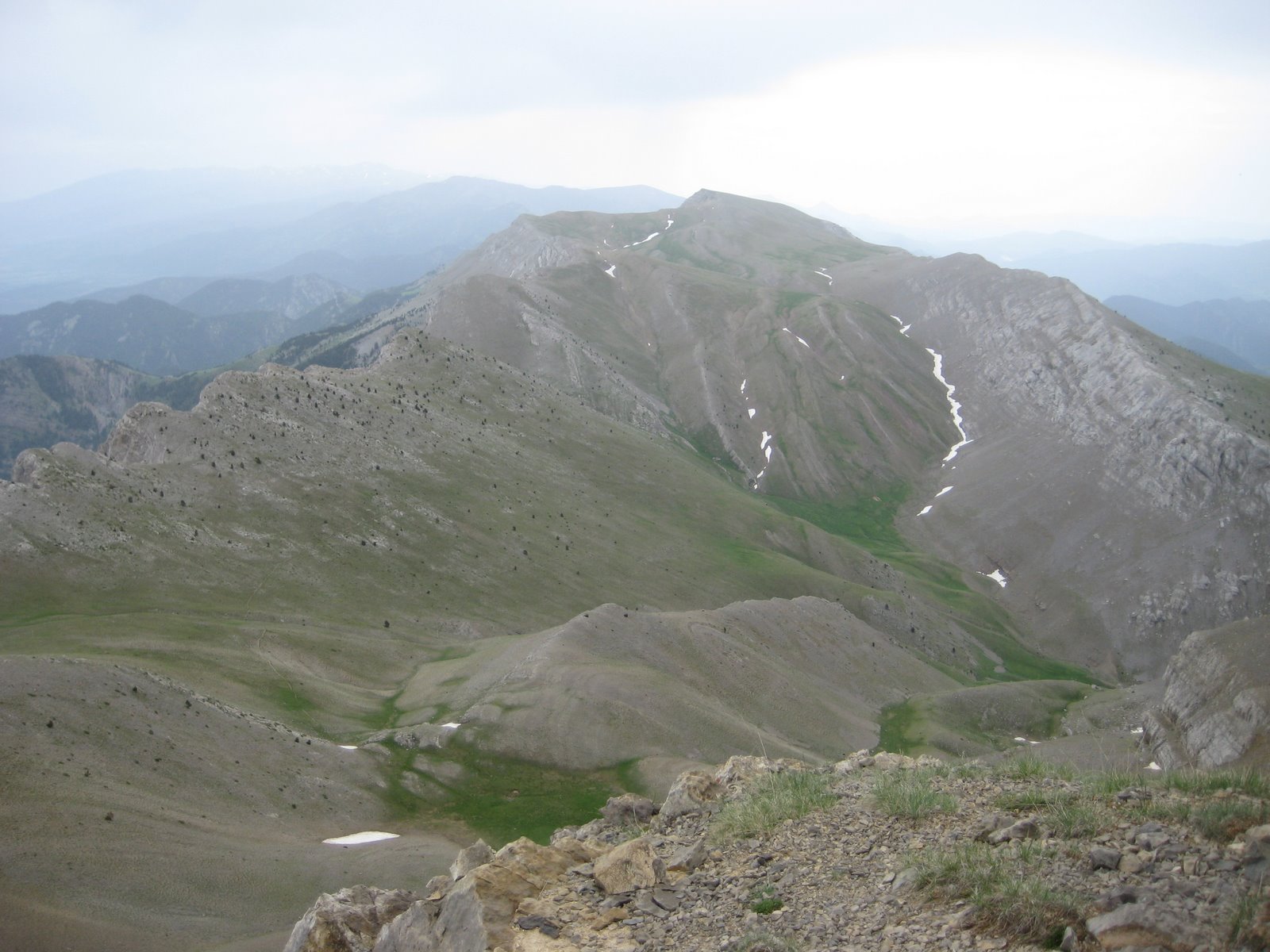[IMG_0611.JPG]