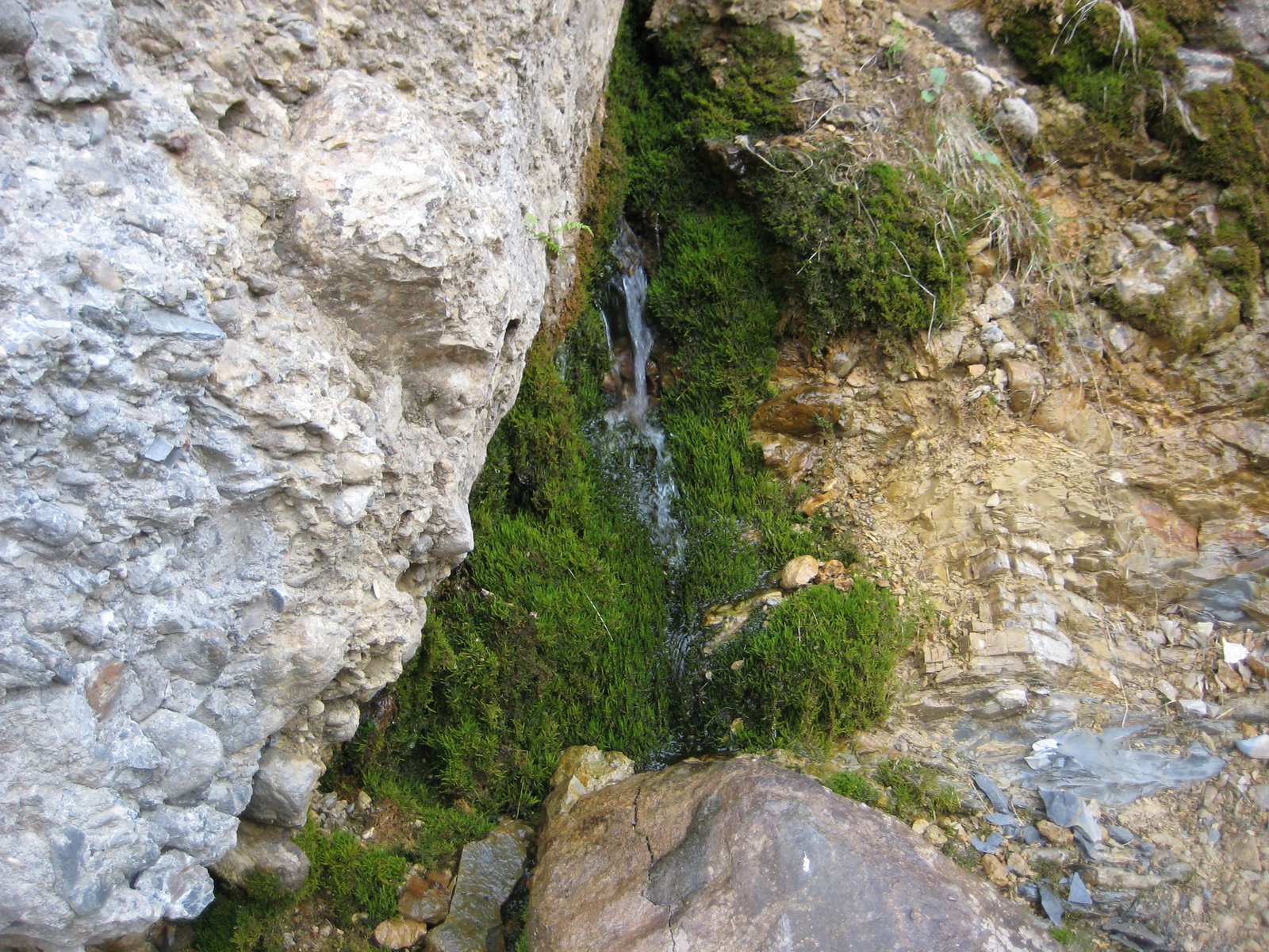 [IMG_0586.JPG]