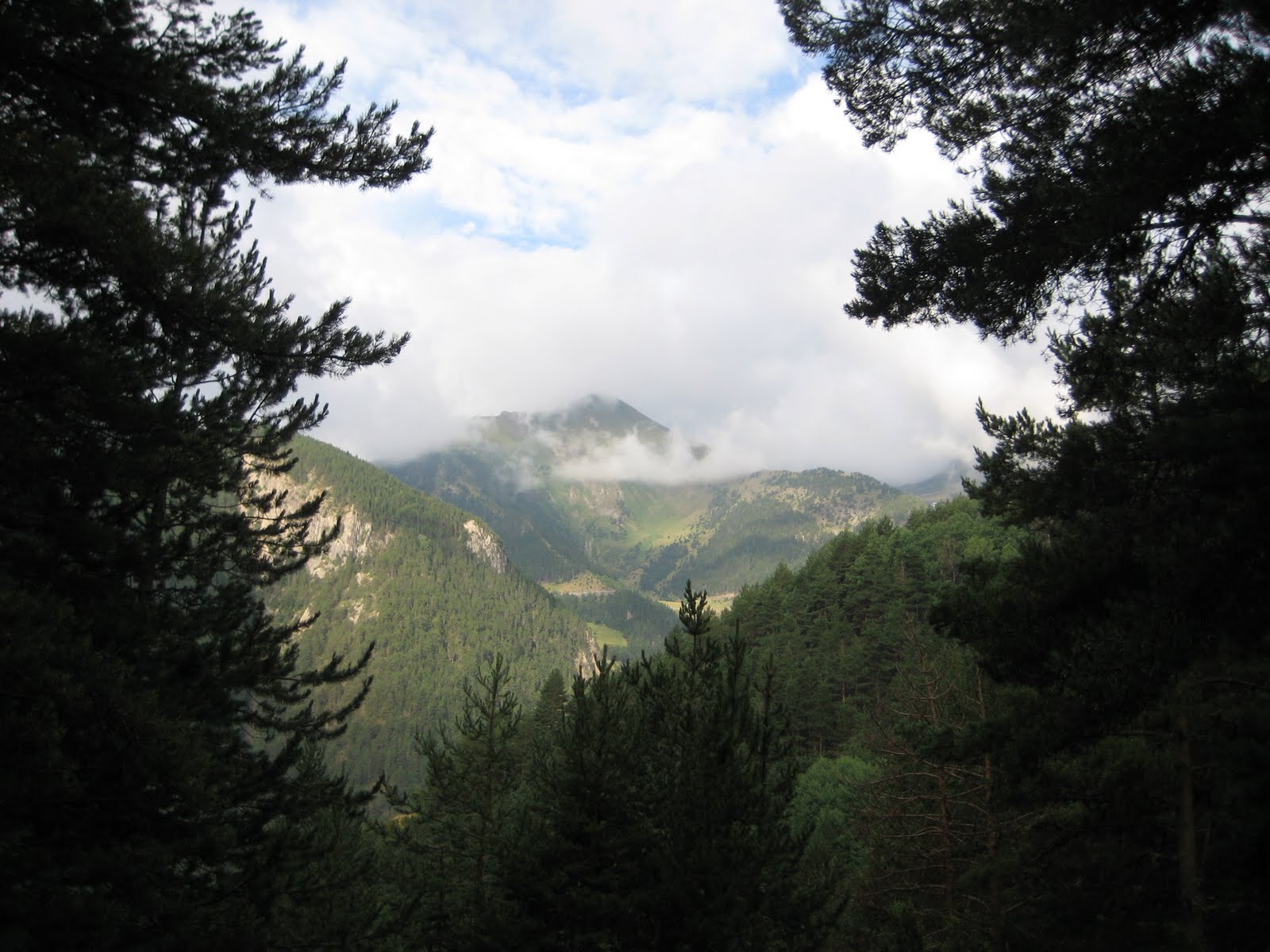 [IMG_0893.JPG]