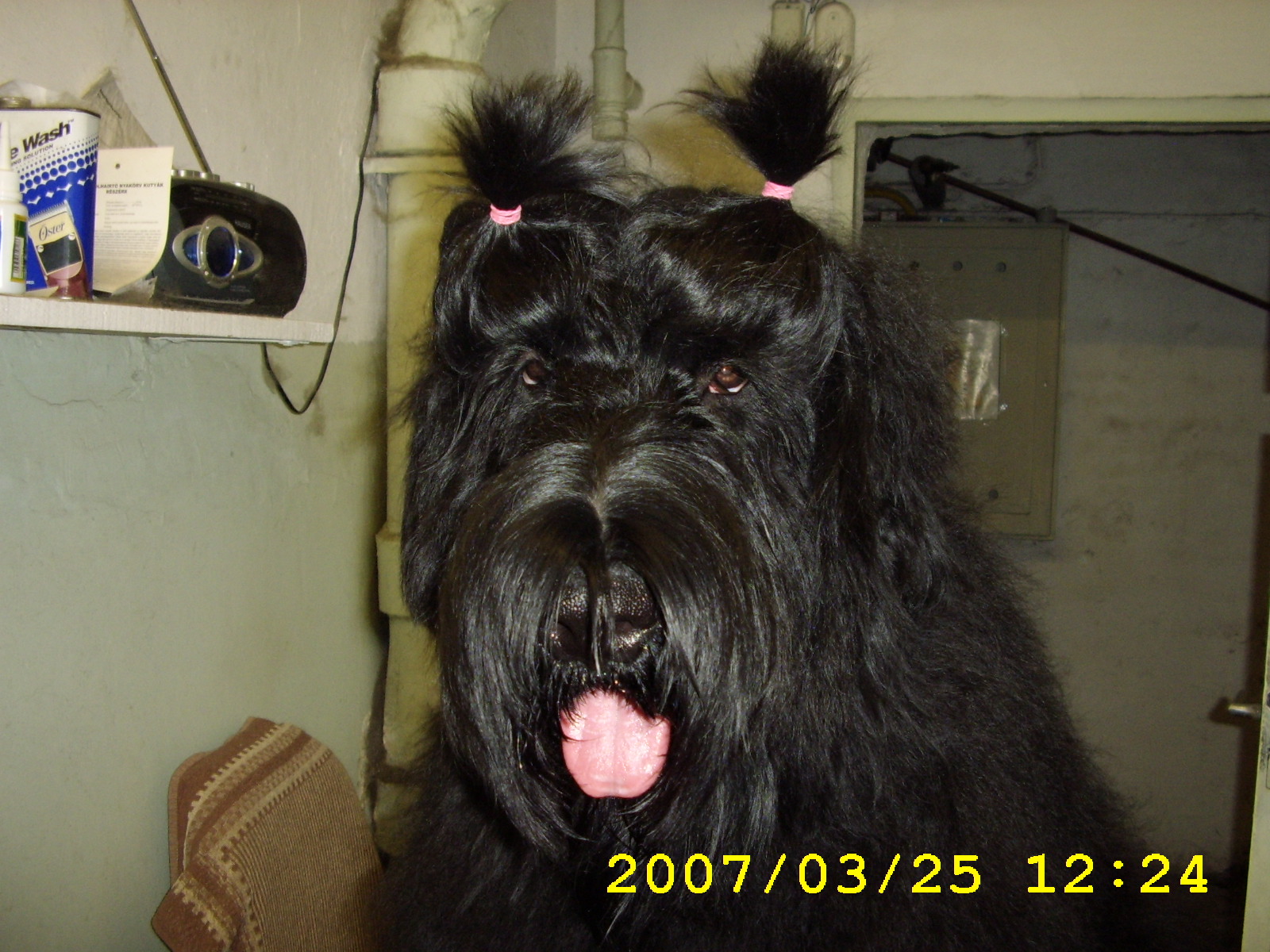 [larafej07márc..JPG]