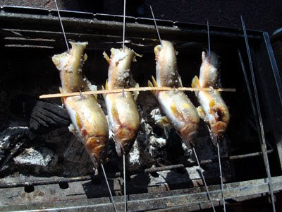 Charcoaled-grilled fish at Ena Gorge, Gifu Prefecture