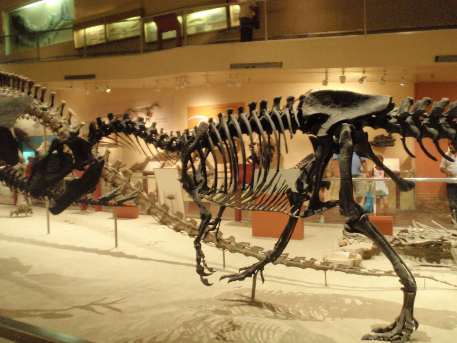 virtual field trip dinosaur museum