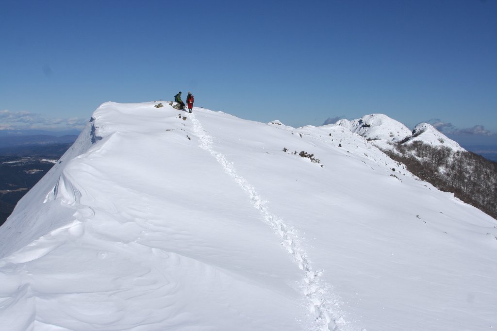 [IMG_5919-718416.JPG]