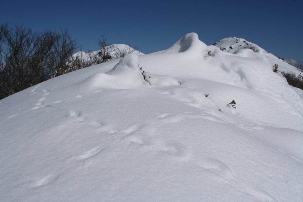 [IMG_5937-724532.JPG]