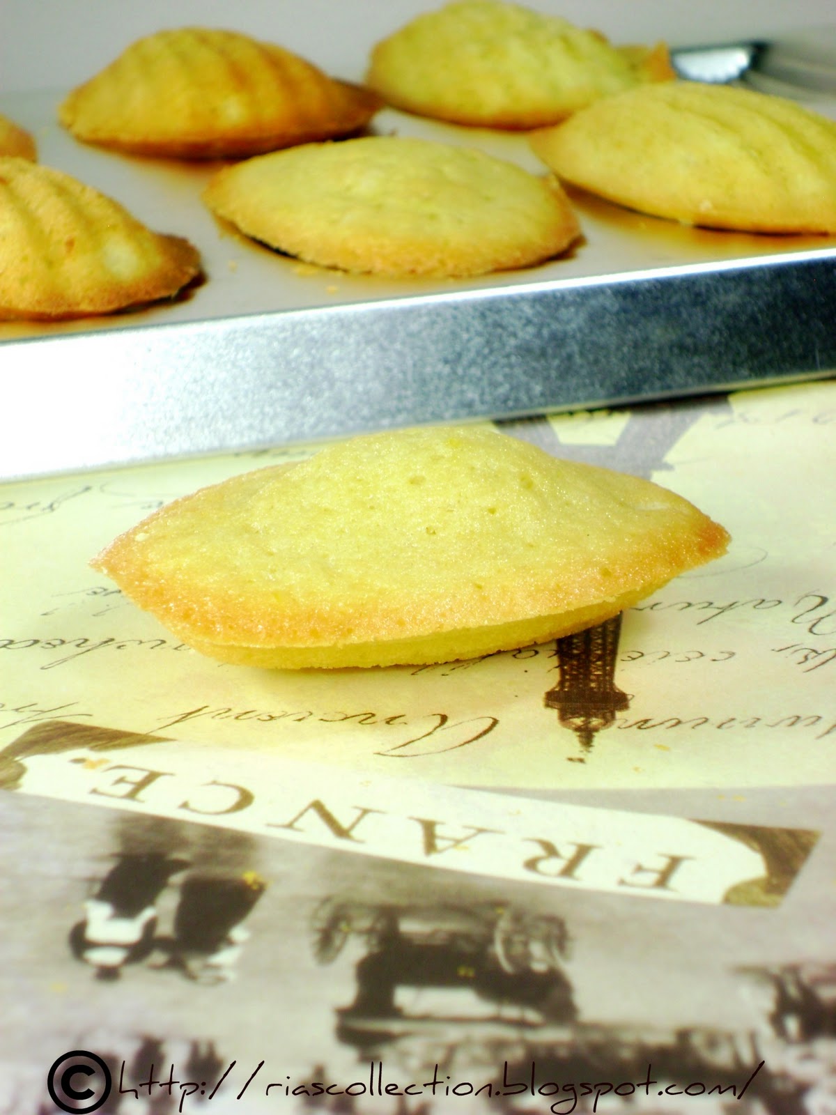 Ria's Collection TRADITIONAL MADELEINES...for 300,000 hits! Woo Hoo!