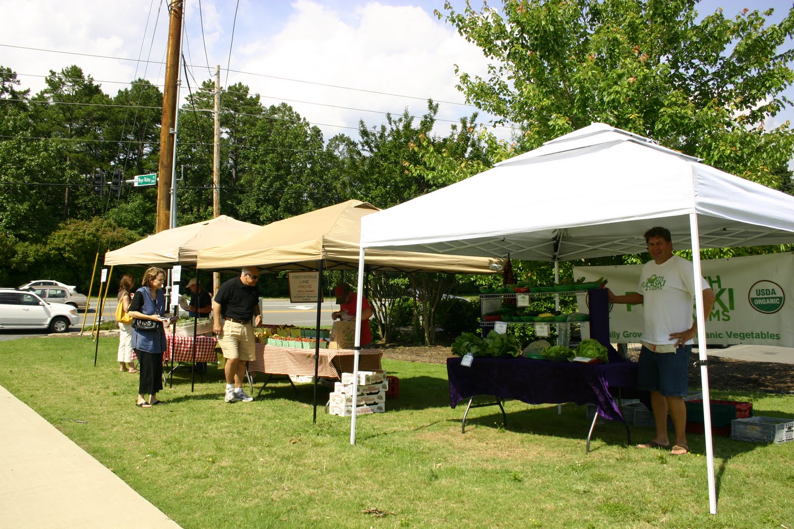 Real Food in Little Rock Zoning office shuts down Pulaski Academy