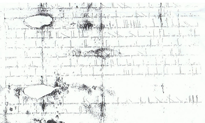 pergamena di Federico II veduta parziale