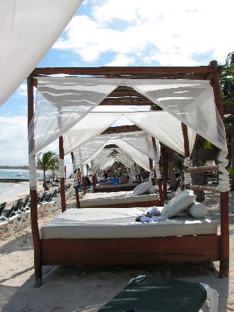 Beach+beds.jpg