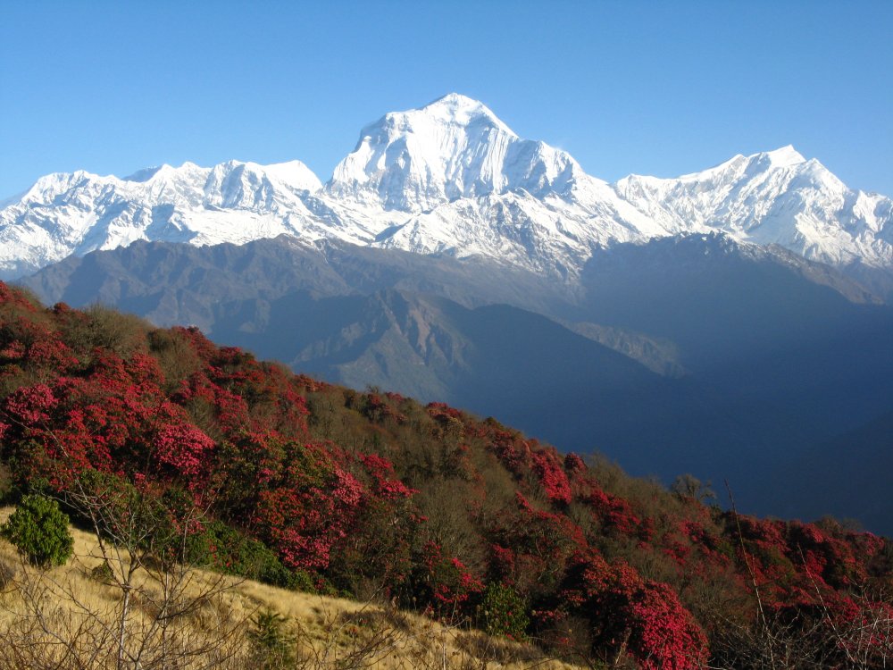 Nepali JPT Nepal Mountains