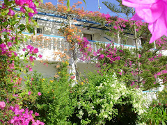 ANGELIKA-STUDIOS-LEROS