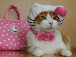 Hello Kitty cat