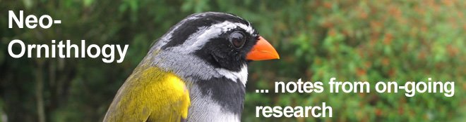 Notes from on-going research on Neotropical birds
