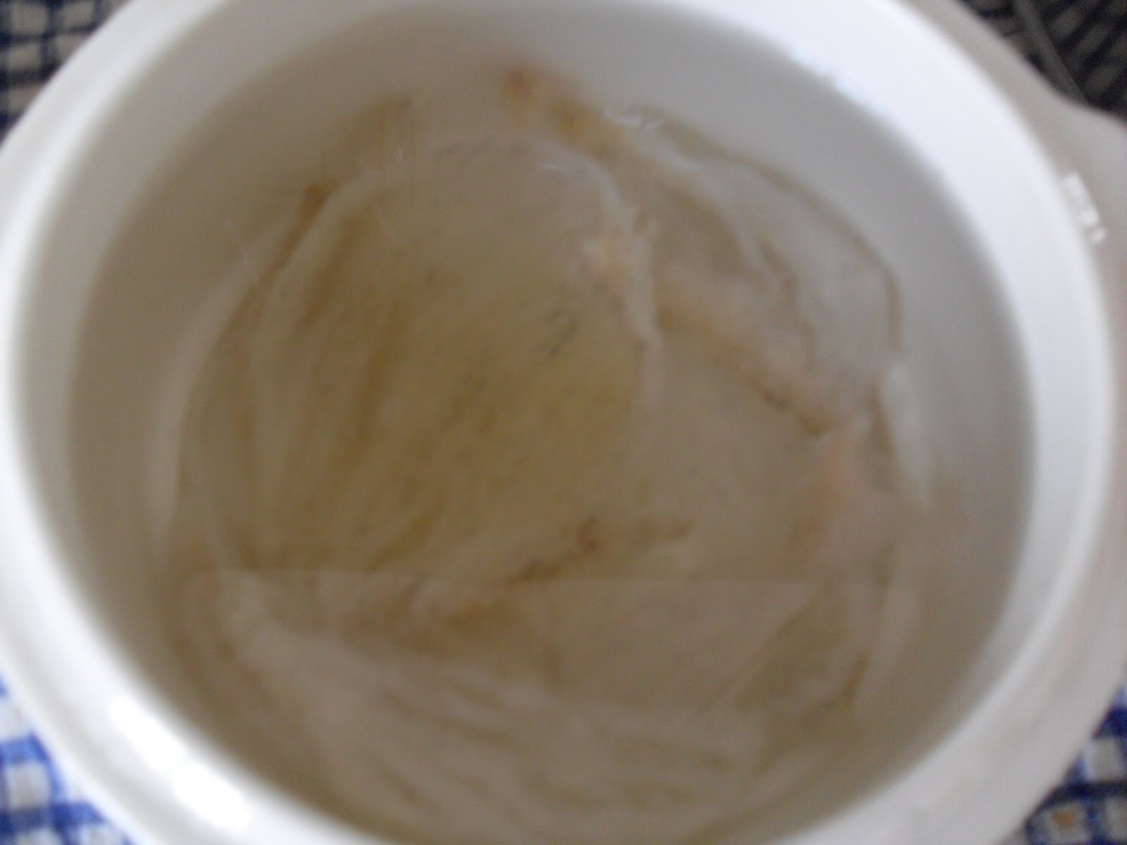 Double Boiled Bird Nest