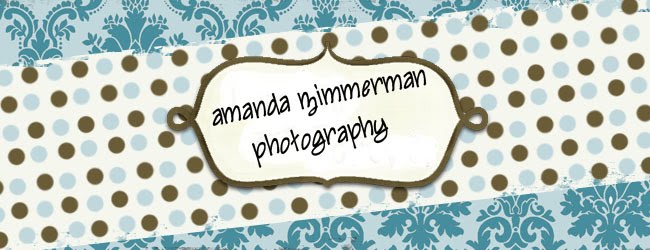 Amanda Zimmerman Photography
