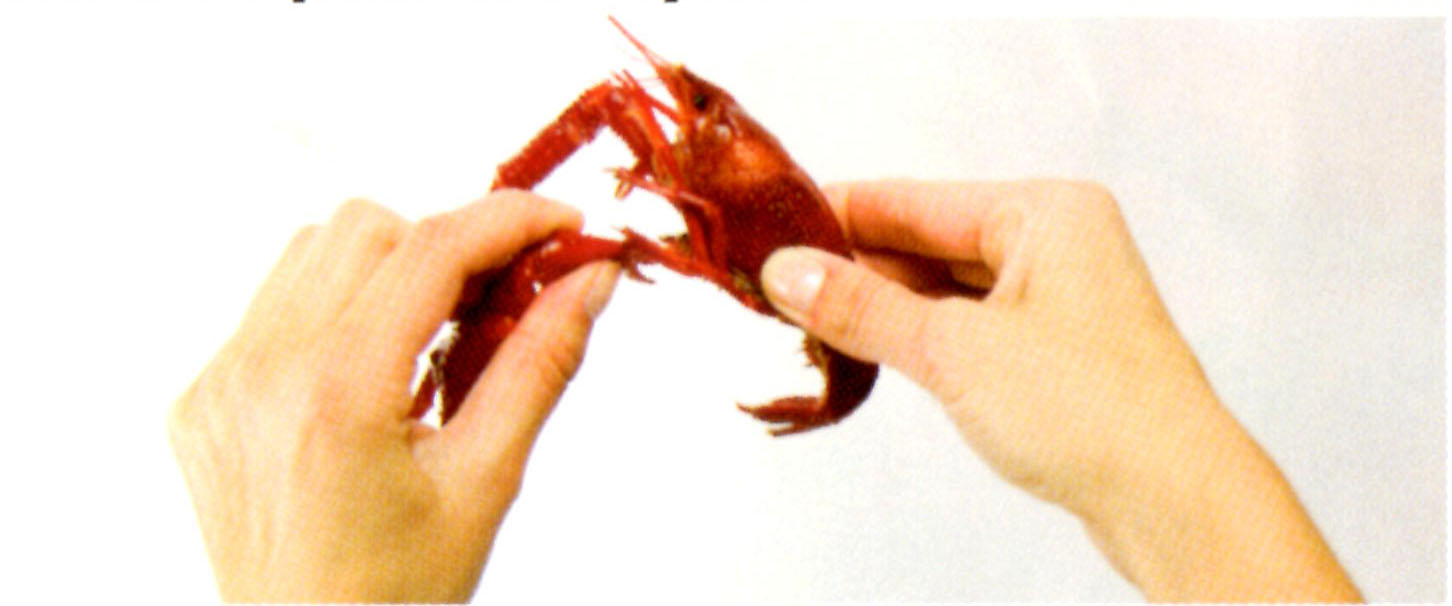 Рак следующую неделю. Онкология - не приговор. Таблица созвездий знаков зодиака. Рак следующую неделю. Знаки зодиака даты.