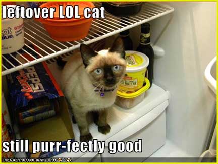[cat-in-fridgeW.jpg]