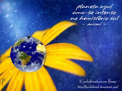 Kuschelirmel:macro flower