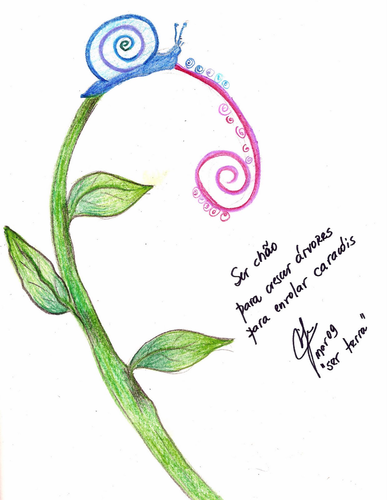 [mimi_caraca_terra.jpg]