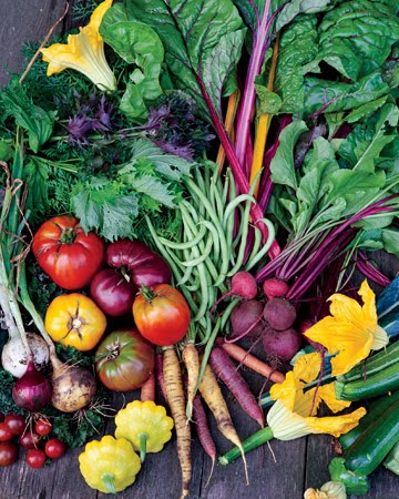 If Zombies Were Supermodels, We'd Be Them: My Barbie Dream House