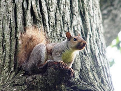 لا تقول: ما بتزبط بدون محاولة ! الأمر يحتاج لثقة أكبر بقدراتنا !