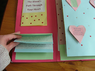 Have Fun - Live Life: Heart Lapbook