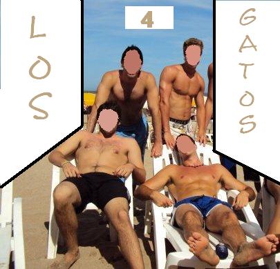 4gatos (541139206627)