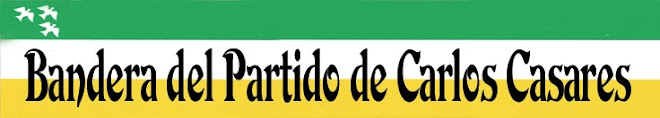 Bandera de Carlos Casares