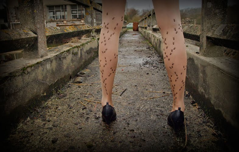 [1+european+french+tights+ants+on+legs.jpg]