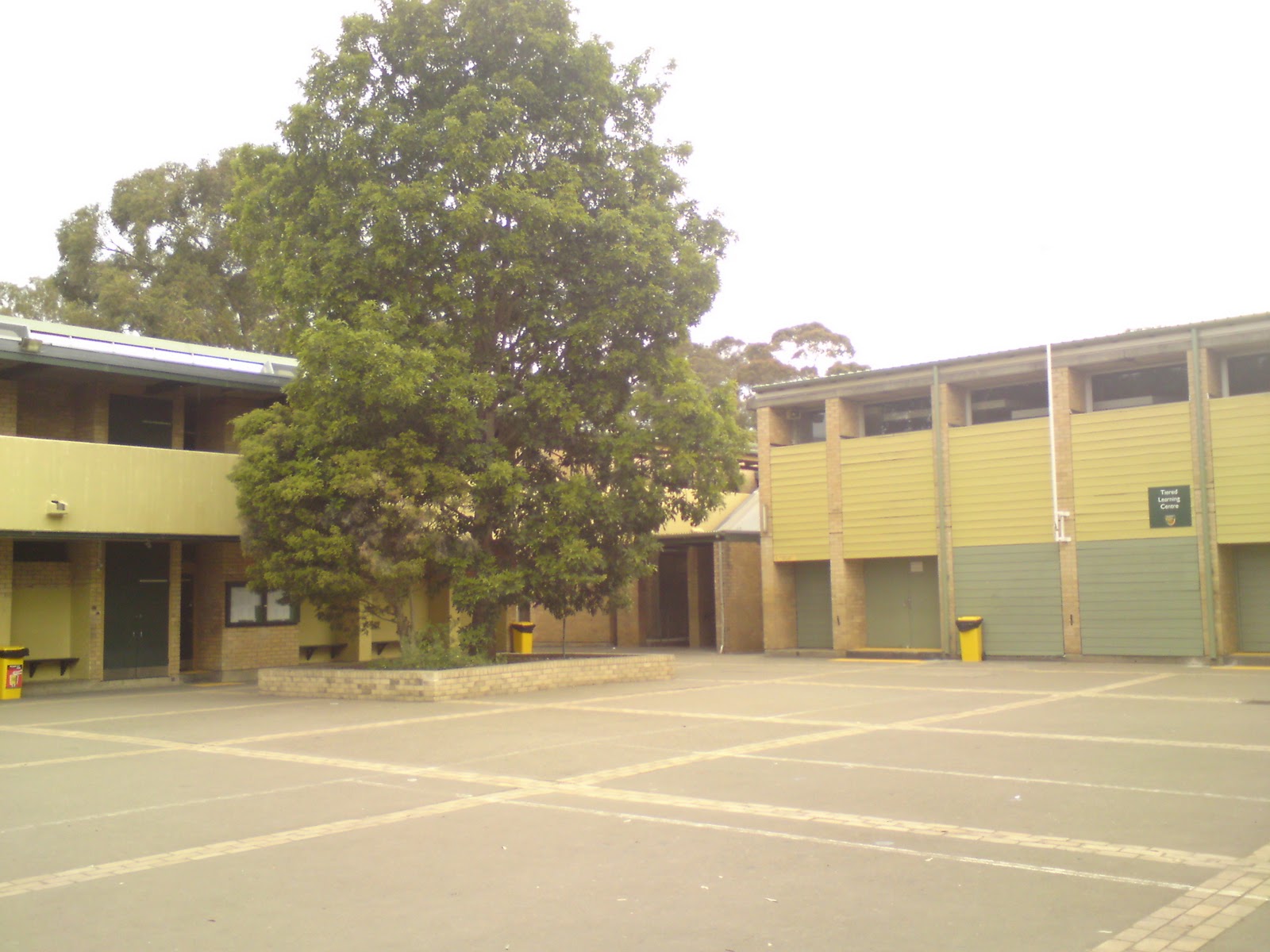 Josephine Gibbs ArtDesign Blog Baulkham Hills High School wonders