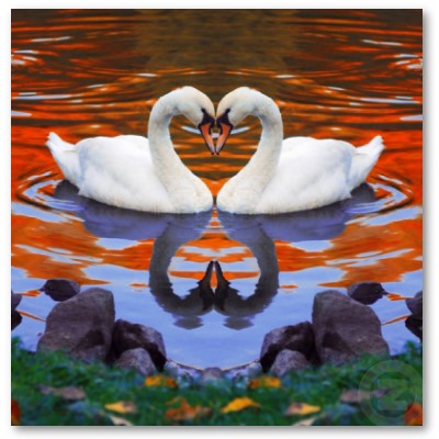 " Mas o melhor de tudo...