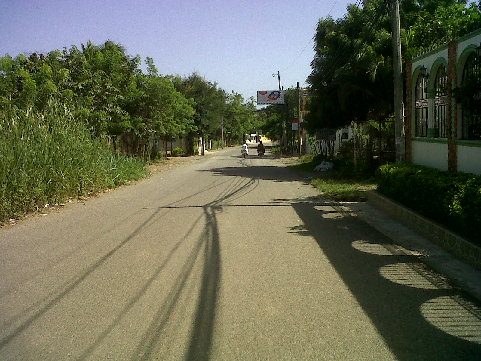 Caimito La Vega Caimito Afuera La Vega