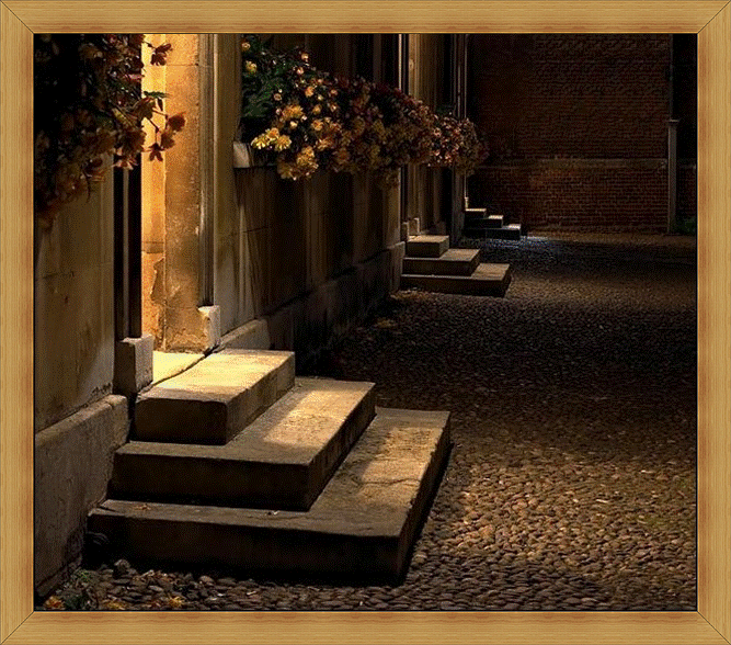 [Imagem1.gif]