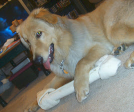 Dozer