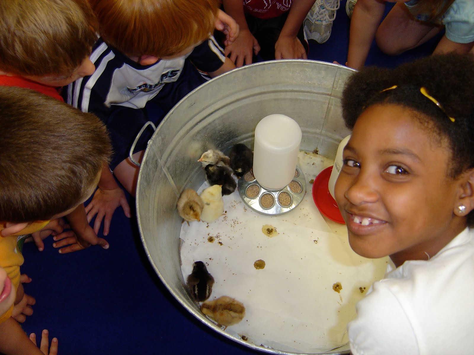 Mrs. Strayer's K Class