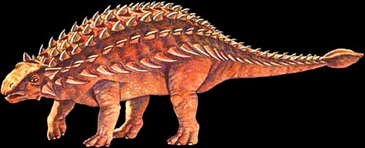 [ankylosaurus.jpg]