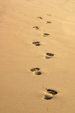 [footprints_5662.jpg]