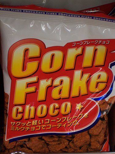 [lost_in_translation_3.jpg]