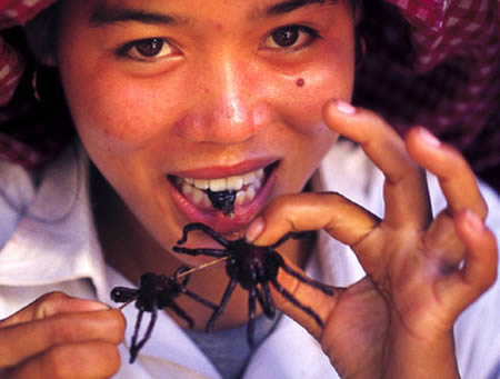 [strangest_foods_1.jpg]