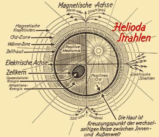 [Helioda-Strahlen+Zelle.jpg]