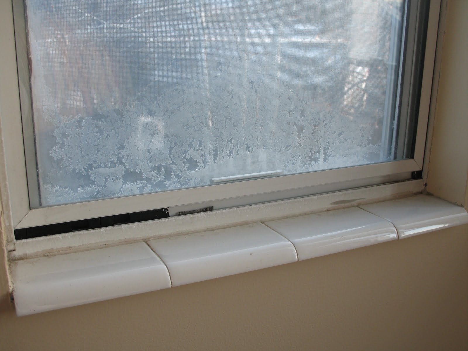 Mama Thompson: Window reveal.