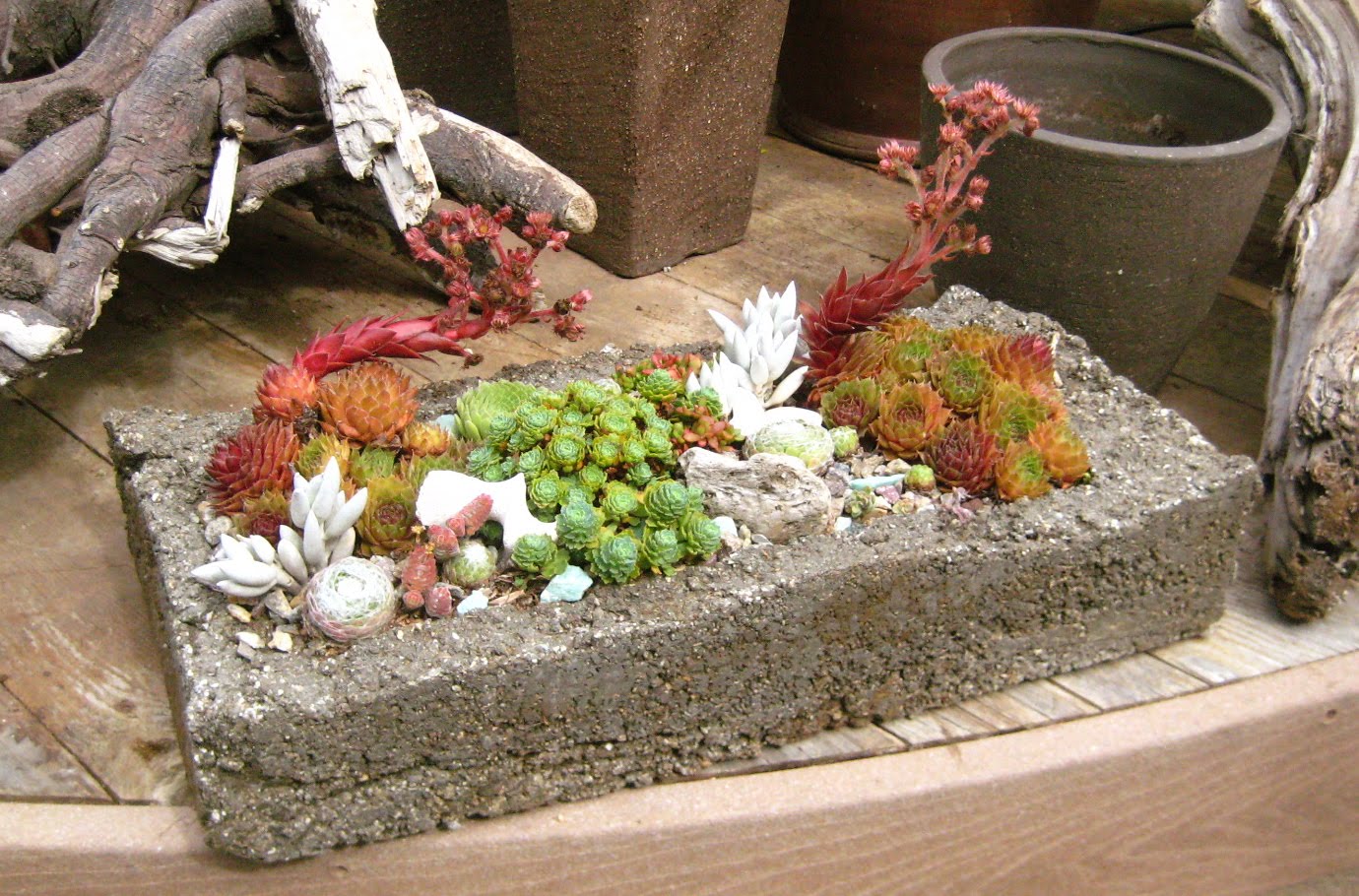 Karin Grow: Make your own concrete planter