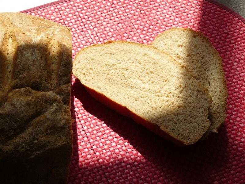 [P1320399  Medium .JPG]