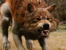 Jacob Black (as a Werewolf)