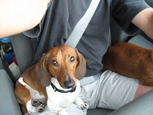 Dach