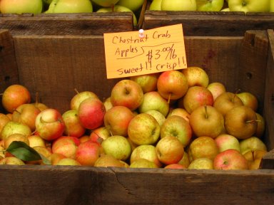 [Macas_Mercado_Boston.jpg]