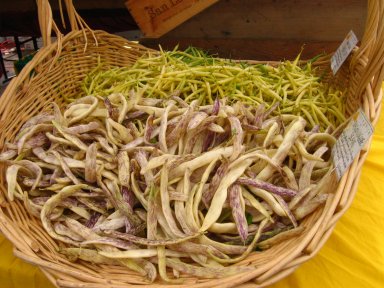 [Feijao_MBoston.jpg]