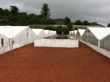 [Estufas_açores.jpg]