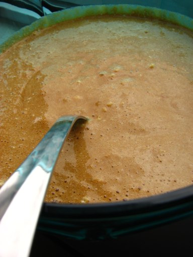 [Baba_de_Camelo_9.jpg]