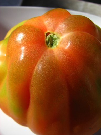[Tomate_coração_de_boi_2.jpg]